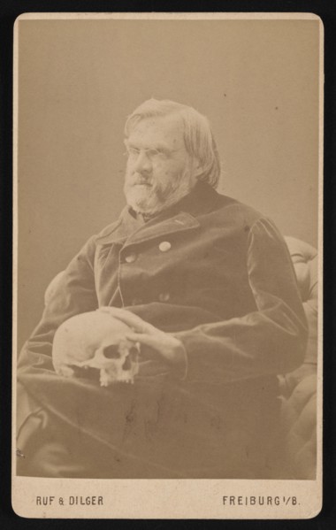 Portrait of Alexander Ecker (1816-1887), Circa 1870s. Creator: Ruf & Dilger.