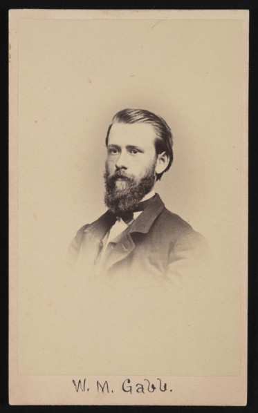 Portrait of William More Gabb (1839-1878), 1864-1865. Creator: Silas Wright Selleck.