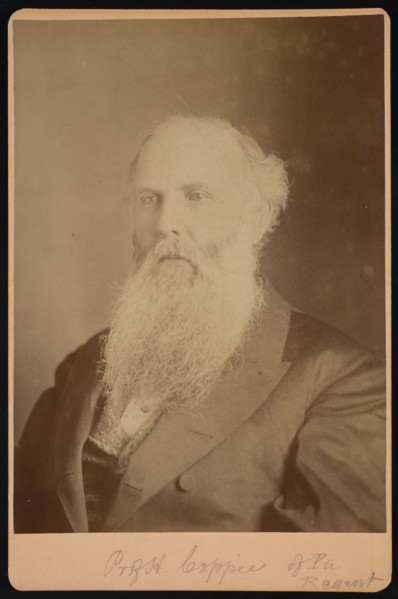 Portrait of Henry Coppee´ (1821-1895), 1875. Creator: Unknown.