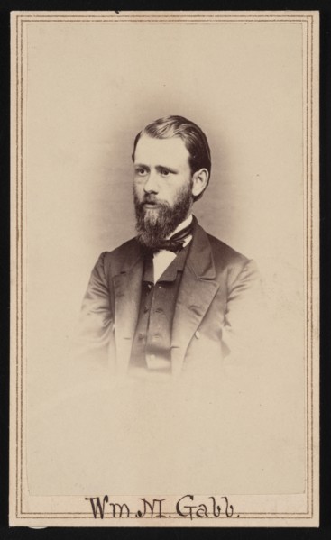 Portrait of William More Gabb (1839-1878), Before 1878. Creator: Unknown.