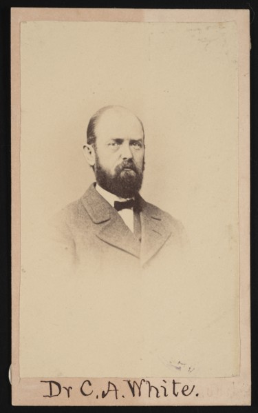 Portrait of Charles Abiathar White (1826-1910), 1868. Creator: Isaac Augustus Wetherby.