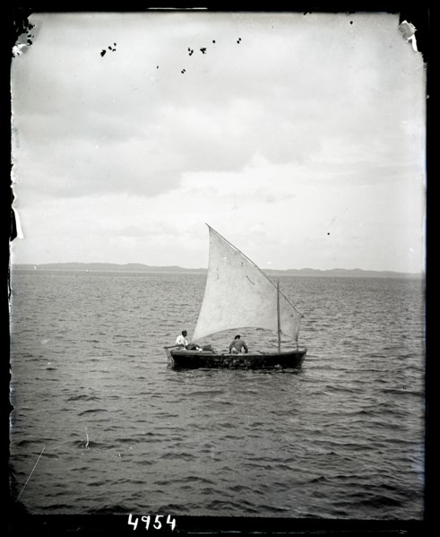 United States Fish Commission Steamer "Albatross" Circumnavigation of South America, 1888. Creator: United States National Museum Photographic Laboratory.