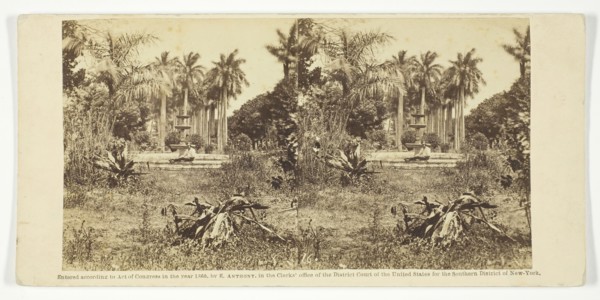 View at the Bishop's Garden, Havana, 1860. Creator: Anthony & Company.