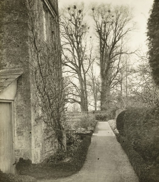 Kelmscott Manor: In the Garden, 1896. Creator: Frederick Henry Evans.
