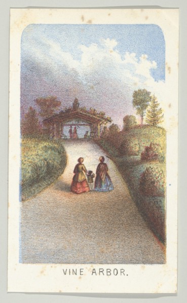 Vine Arbor, from the series, Views in Central Park, New York, Part 3, 1864. Creator: Louis Prang.