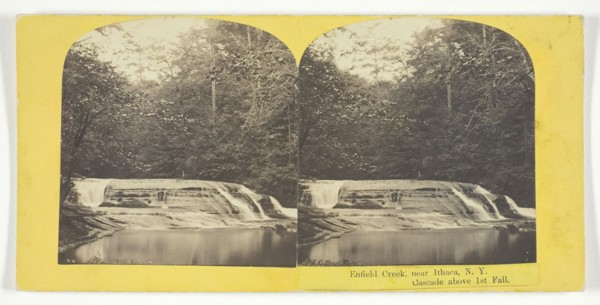 Enfield Creek, near Ithaca, N.Y. Cascade above 1st Fall, 1860/65. Creator: J. C. Burritt.