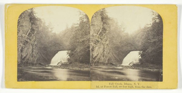 Fall Creek, Ithaca, N.Y. 2d, or Forest Fall, 60 feet high, from the dam, 1860/65. Creator: J. C. Burritt.