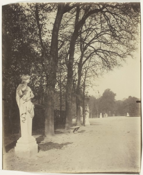 Versailles, Coin de Parc, 1904. Creator: Eugene Atget.