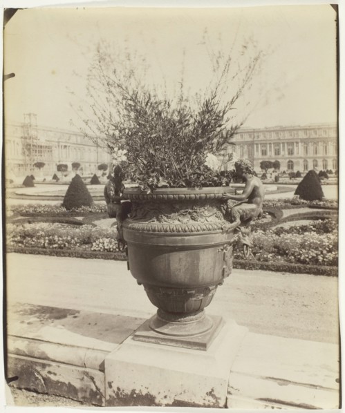 Versailles, Vase par Ballin, 1902. Creator: Eugene Atget.