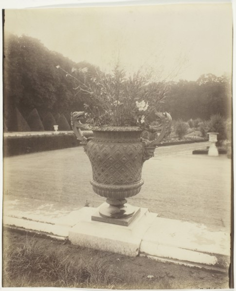 Versailles, Vase par Ballin, 1902. Creator: Eugene Atget.