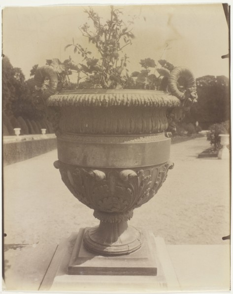 Versailles, Vase par Ballin, 1905. Creator: Eugene Atget.