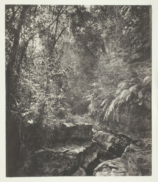 A Mountain Pass in Formosa, c. 1868. Creator: John Thomson.