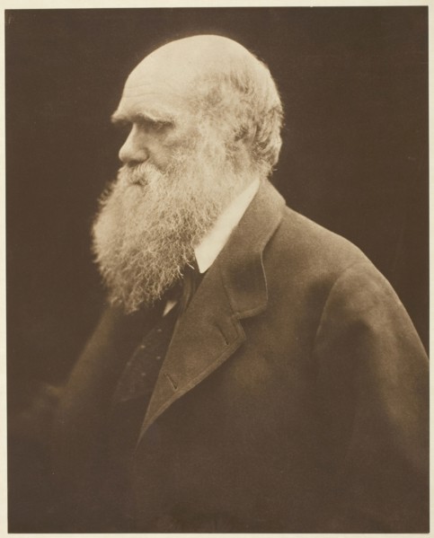 Charles Darwin, c. 1868, printed 1875. Creator: Julia Margaret Cameron.