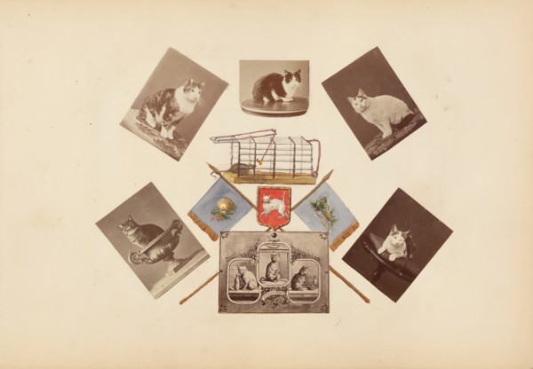 The Madame B Album, 1870s. Creator: Marie Blanche Hennelle Fournier.