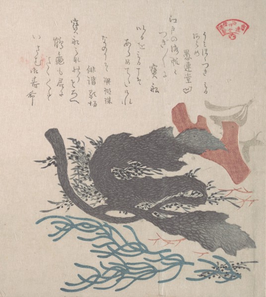 Various Seaweed, 19th century. Creator: Kubo Shunman.