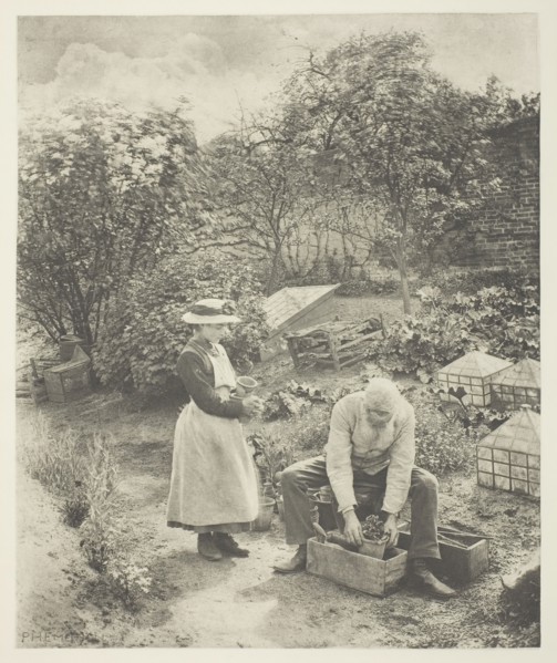 A Garden End (Suffolk), c. 1883/87, printed 1888. Creator: Peter Henry Emerson.