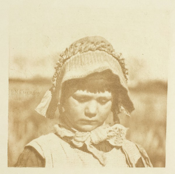 A Norfolk Flower, 1883/87, printed 1888. Creator: Peter Henry Emerson.