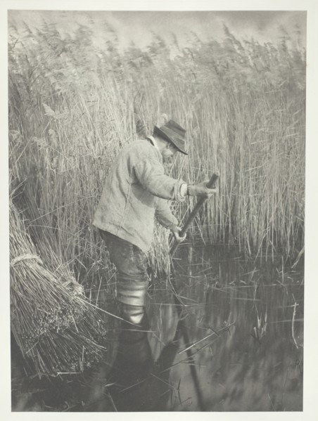 A Reed-Cutter at Work, 1886. Creator: Peter Henry Emerson.