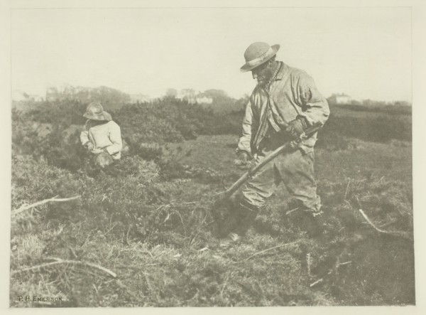 Furze-Cutting on a Suffolk Common, c. 1883/87, printed 1888. Creator: Peter Henry Emerson.