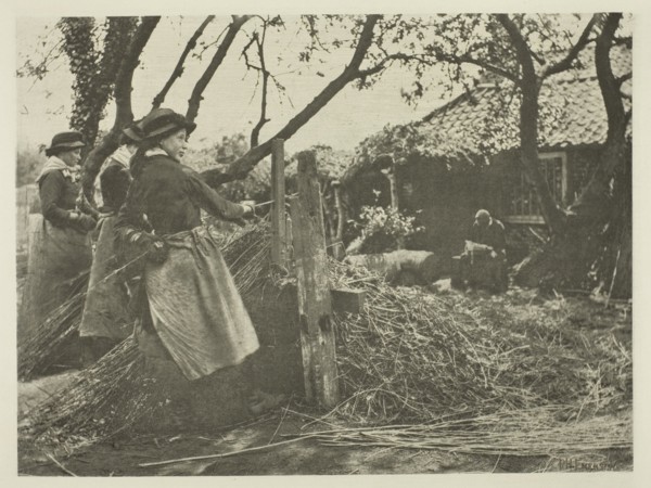Osier-Peeling (Norfolk), c. 1883/87, printed 1888. Creator: Peter Henry Emerson.