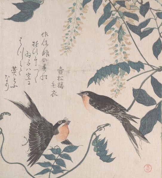 Swallows and Wisteria, 19th century. Creator: Kubo Shunman.