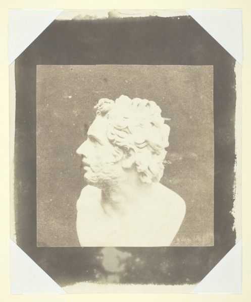 Bust of Patroclus, August 9, 1843. Creator: William Henry Fox Talbot.
