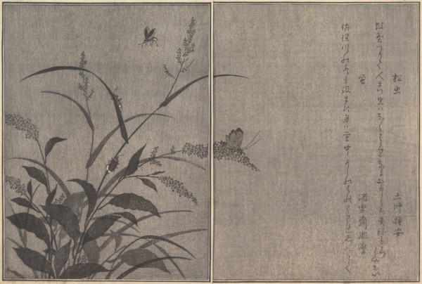Tree cricket (Matsumushi); Firefly (Hotaru)..., 1788. Creator: Kitagawa Utamaro.