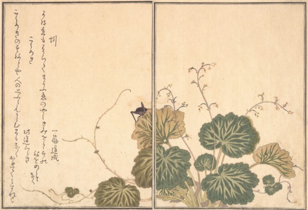 Earthworm (Mimizu); Cricket (Korogi)..., 1788. Creator: Kitagawa Utamaro.