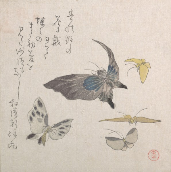 Butterflies, 19th century. Creator: Kubo Shunman.