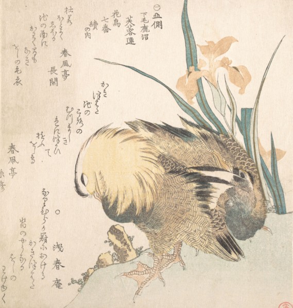 Pair of Mandarin Ducks and Iris Flowers, late 18th-early 19th century. Creator: Kubo Shunman.