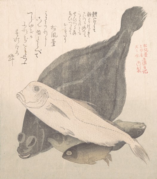 Flounder and Other Fishes, 19th century. Creator: Kubo Shunman.
