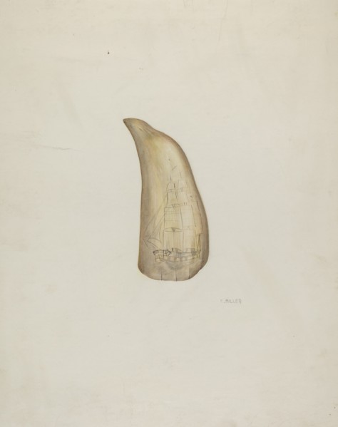 Scrimshaw, c. 1937. Creator: Edith Miller.
