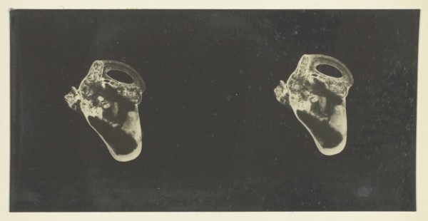 The Labyrinth of Animals; Including Mammals, Birds, Reptiles, & Amphibians - Vol. II, 1900/08. Creator: Unknown.