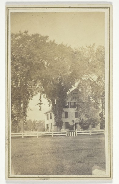 Miss Brown's house and curious elm cross., mid-late 19th century.  Creator: H. O. Bly.