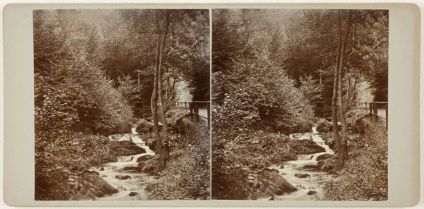 Untitled (Schweizerlat, St. Goarshausen), 1860s. Creator: Unknown.