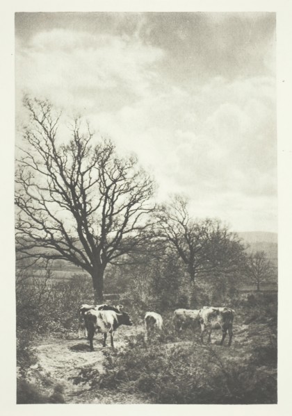 A Windy Corner, 1880/90, printed January 1891. Creator: B. Gay Wilkinson.