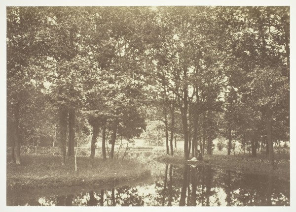 Untitled, c. 1850. [Trees near water in the Bois de Boulogne, a park in Paris].  Creator: Charles Marville.