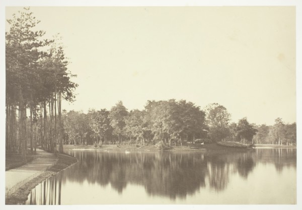 Untitled, c. 1850. [Trees near water in the Bois de Boulogne, a park in Paris].  Creator: Charles Marville.