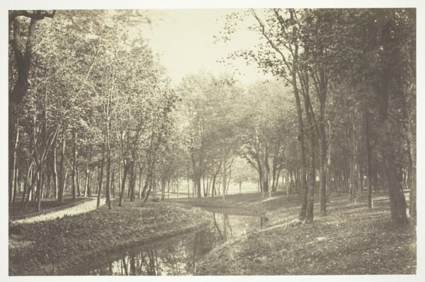Untitled, c. 1850. [Trees near water in the Bois de Boulogne, a park in Paris].  Creator: Charles Marville.