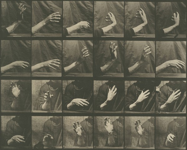 Animal Locomotion, Plate 535, 1887. Creator: Eadweard J Muybridge.