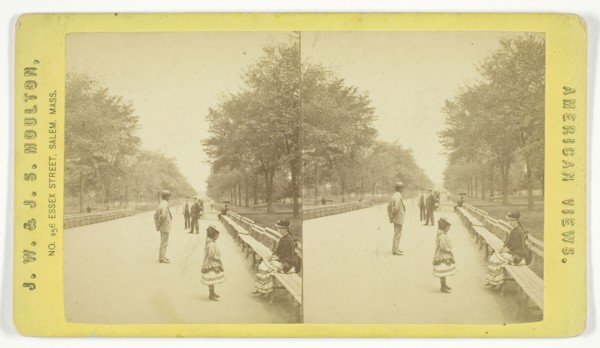 The Mall, 1873/81. Creator: J.W. & J.S. Moulton.