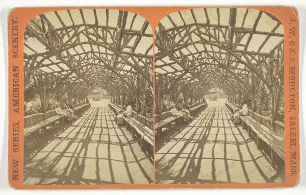 Vine Clad Arbor, 1873/81. Creator: J.W. & J.S. Moulton.