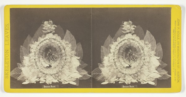 Parepa Rosa, 1874. Creator: John P. Soule.