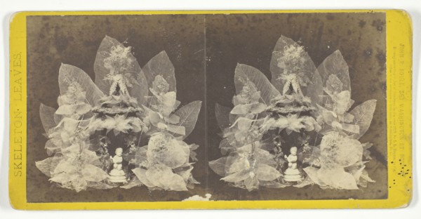 Untitled, 1873. [Skeleton leaves and statuette]. Creator: John P. Soule.
