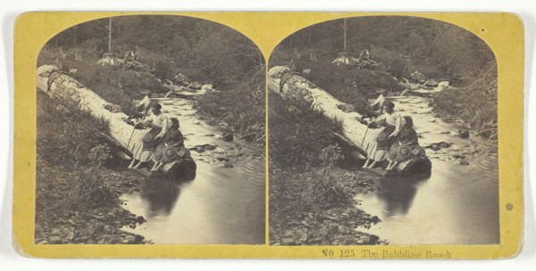 The Babbling Brook, 1855/75. Creators: Kilburn Brothers, BW Kilburn.
