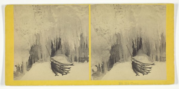 Trout, 1855/75. Creators: Kilburn Brothers, BW Kilburn.