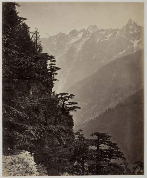 Untitled [hillside and mountains], c. 1865. Creator: Samuel Bourne.