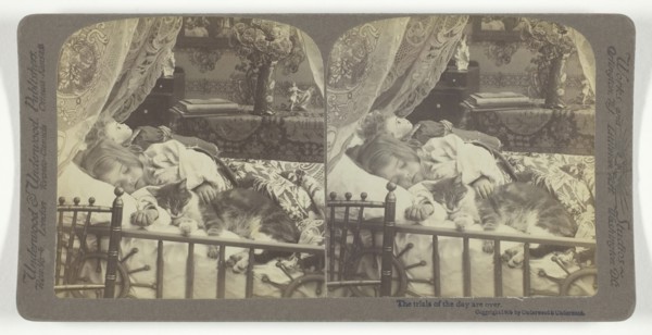 The trials of the day are over, 1905. Creator: Underwood & Underwood.