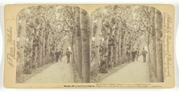 Queen Mary's Bower, Hampton Court, London, England, 1892. Creator: Underwood & Underwood.