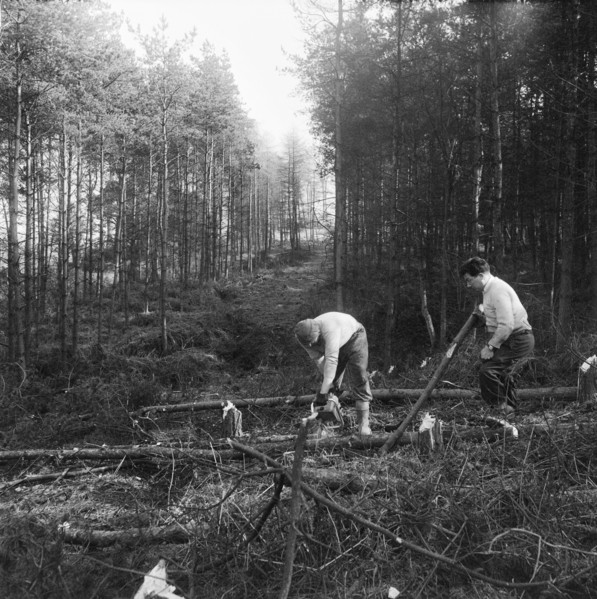 Construction of the M6 Motorway, Stafford, Staffordshire, 20/06/1961. Creator: John Laing plc.
